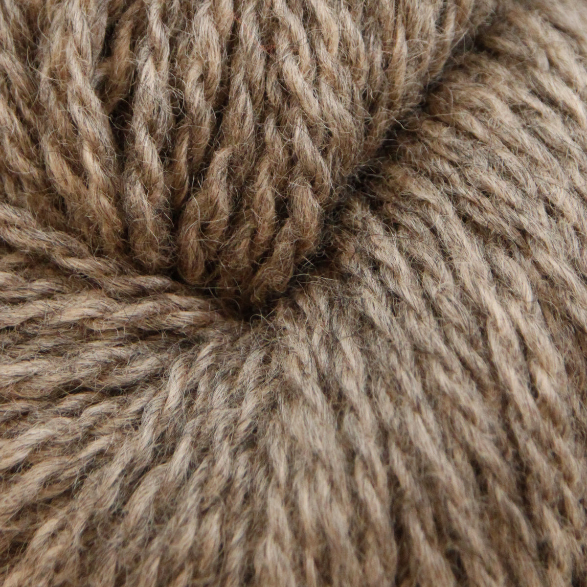Blåne- Beige- 2101