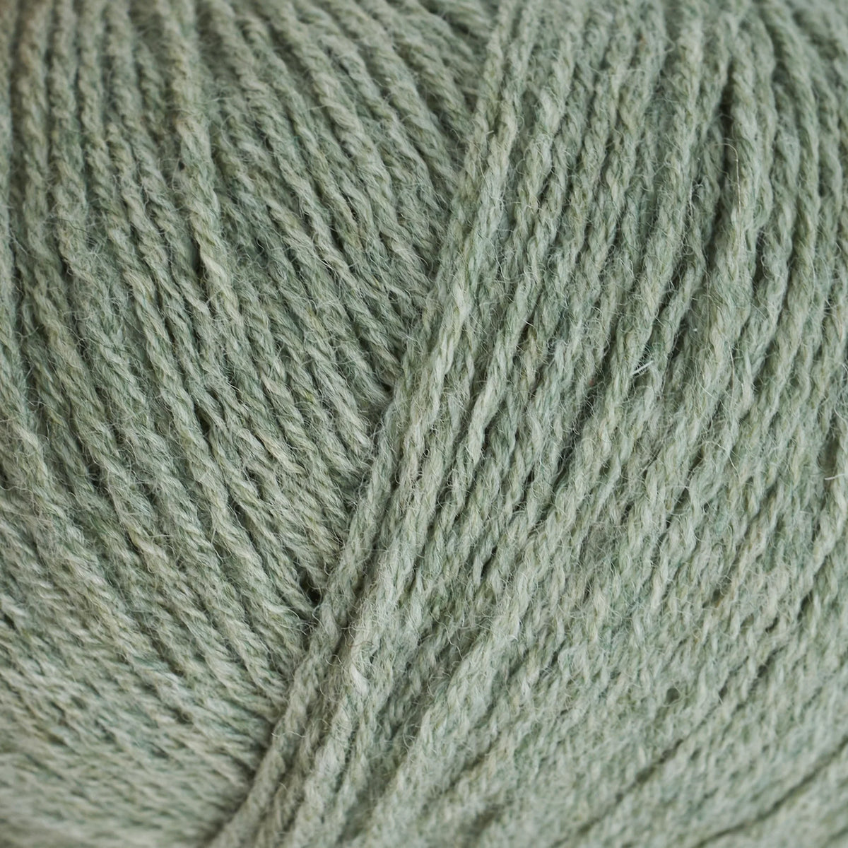 Eucalyptus/eukalyptus- Merino