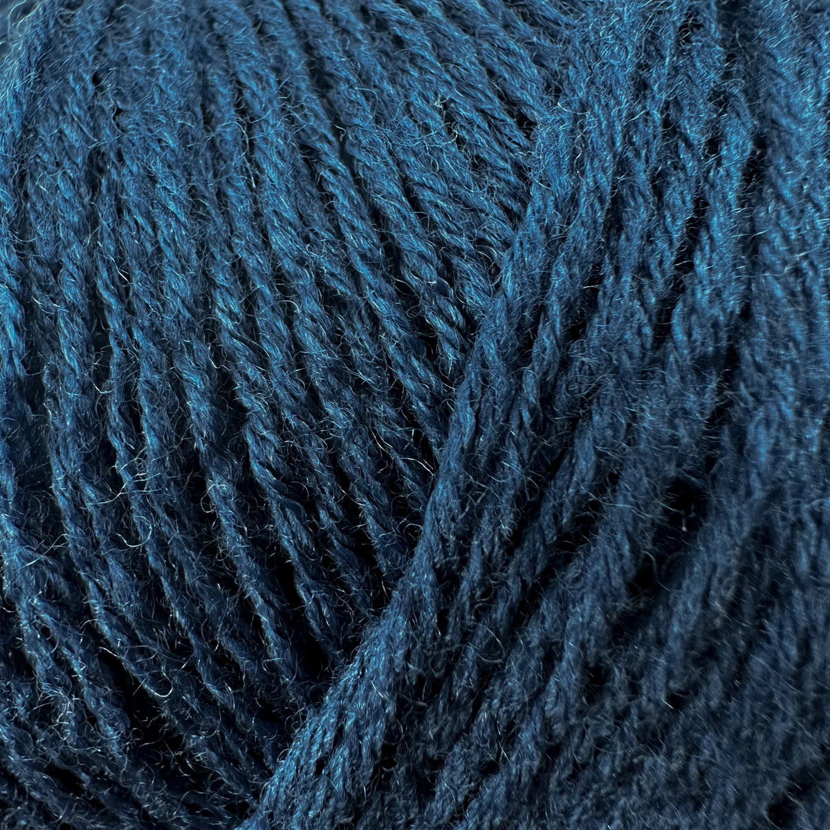 Blue Tit / Blåmejse - Merino