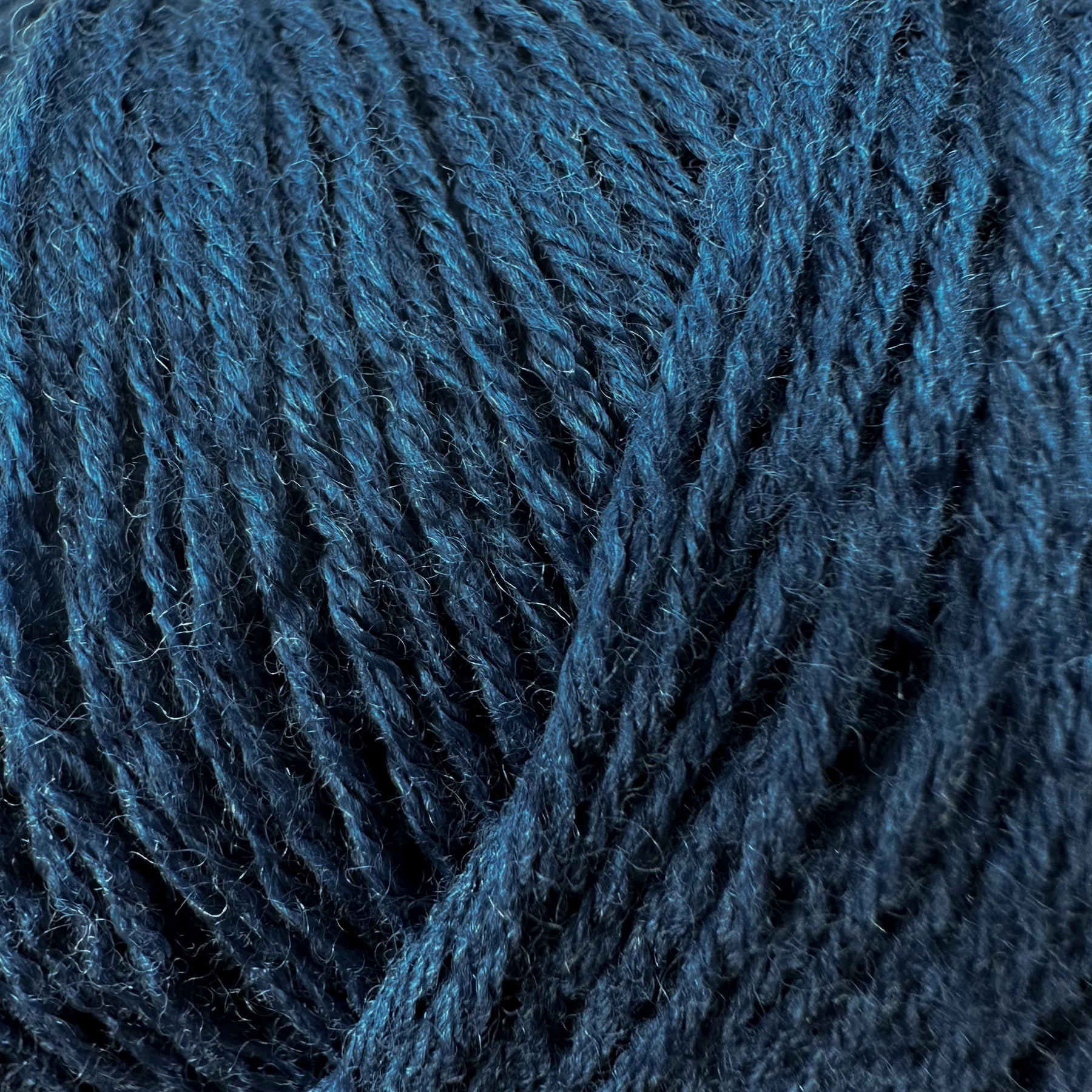Blue Tit / Blåmejse - Merino