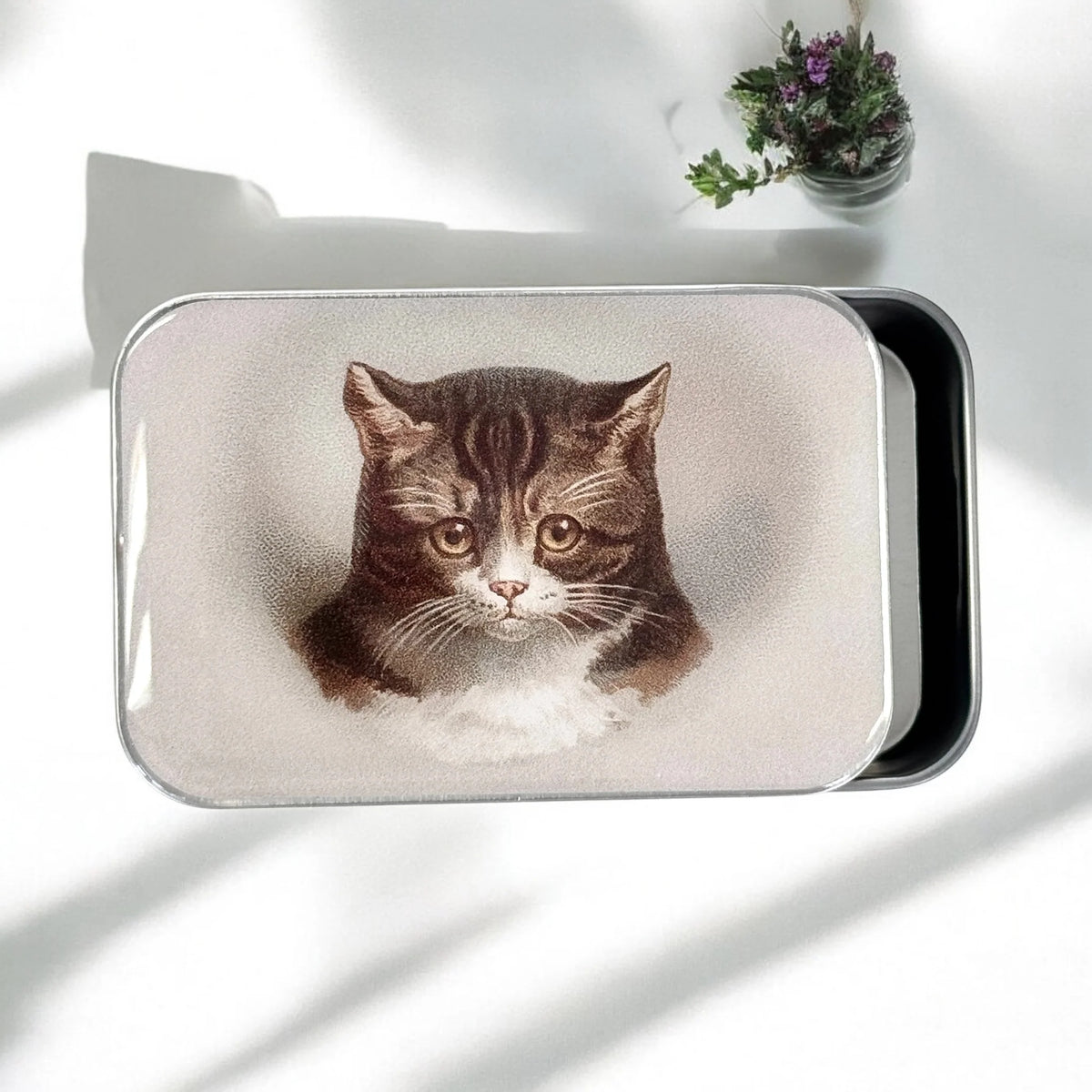 Cat Notions Tin- Lilla Asken