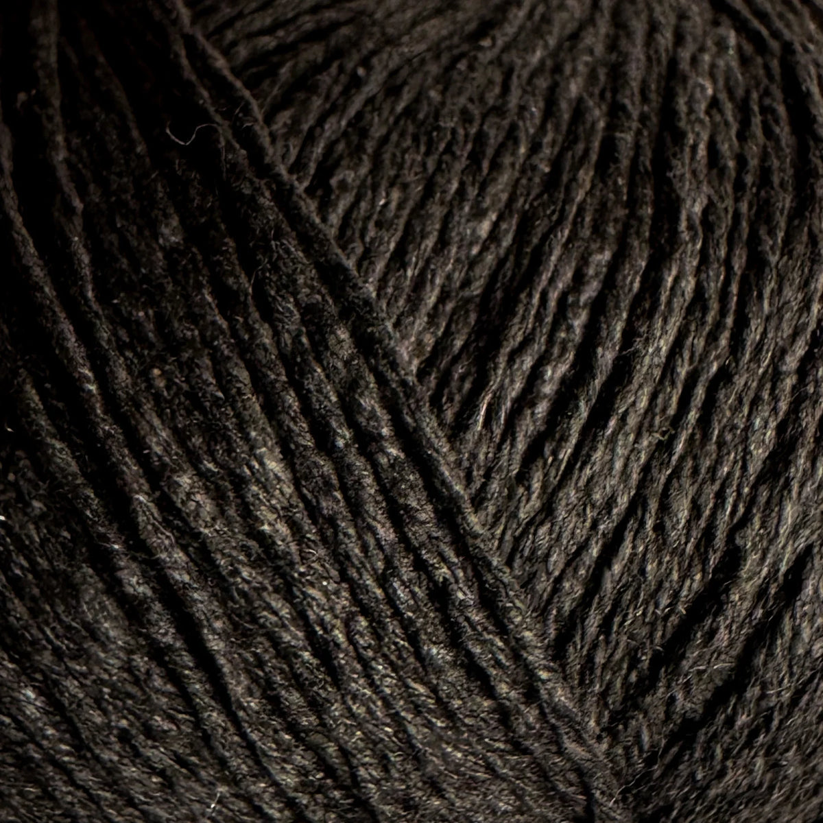 Brown Bear / Brun Bjørn - Pure Silk