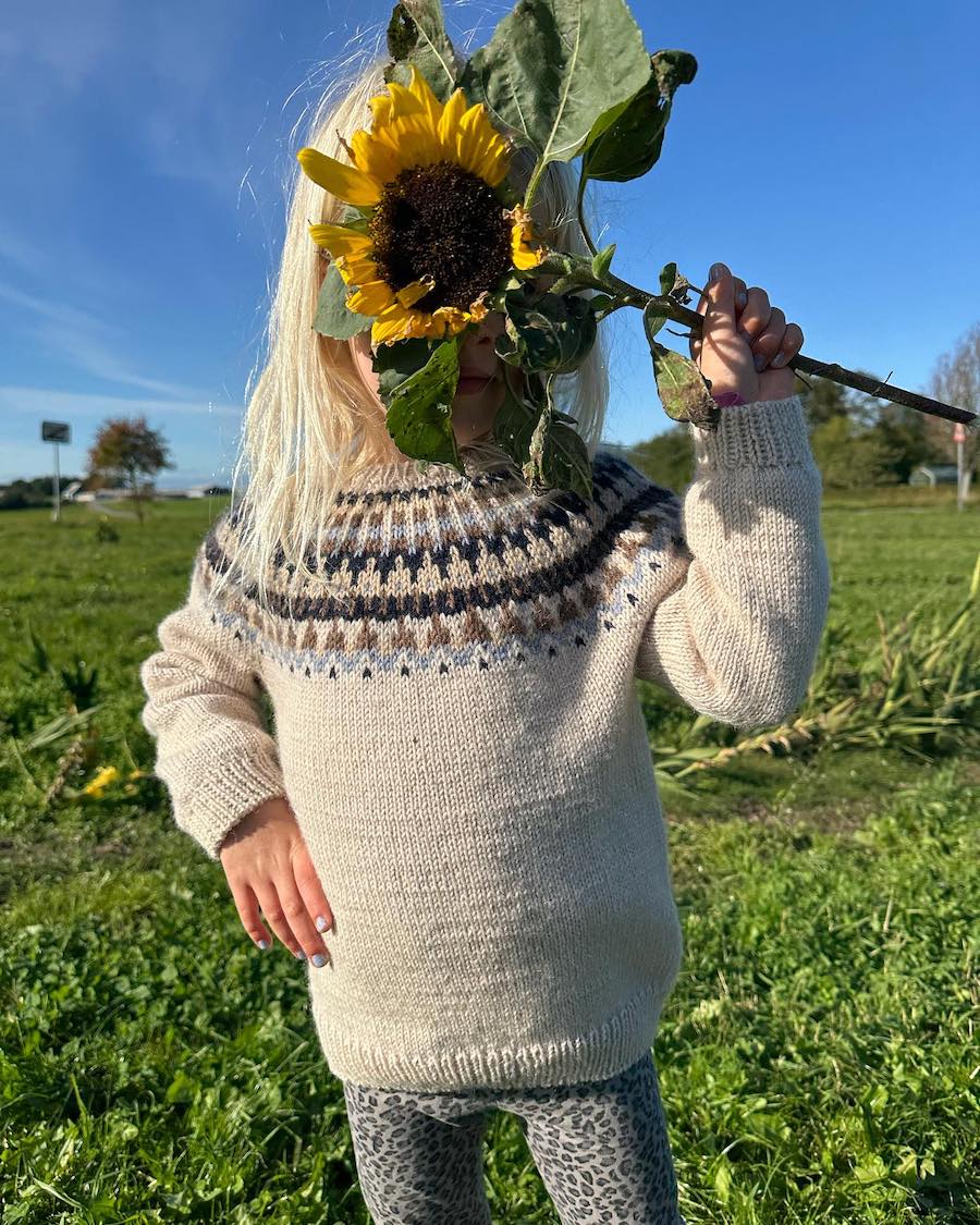 Celeste sweater- Junior