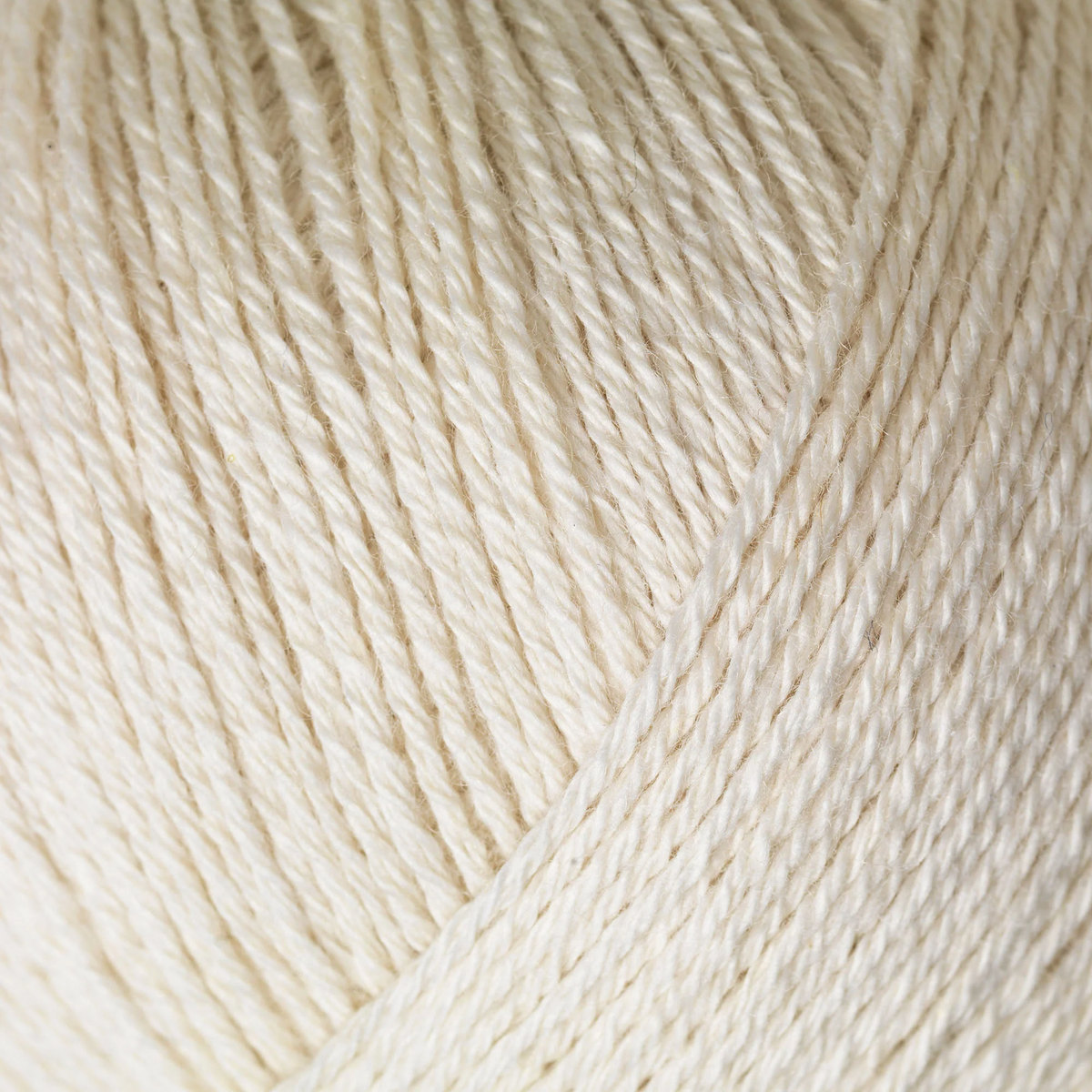 Cotton Merino - CREAM
