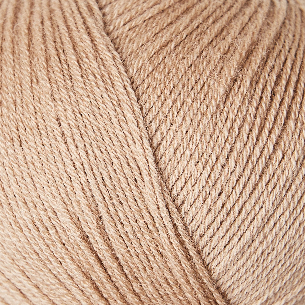 Camel Rose / Rosa Kamel - Merino