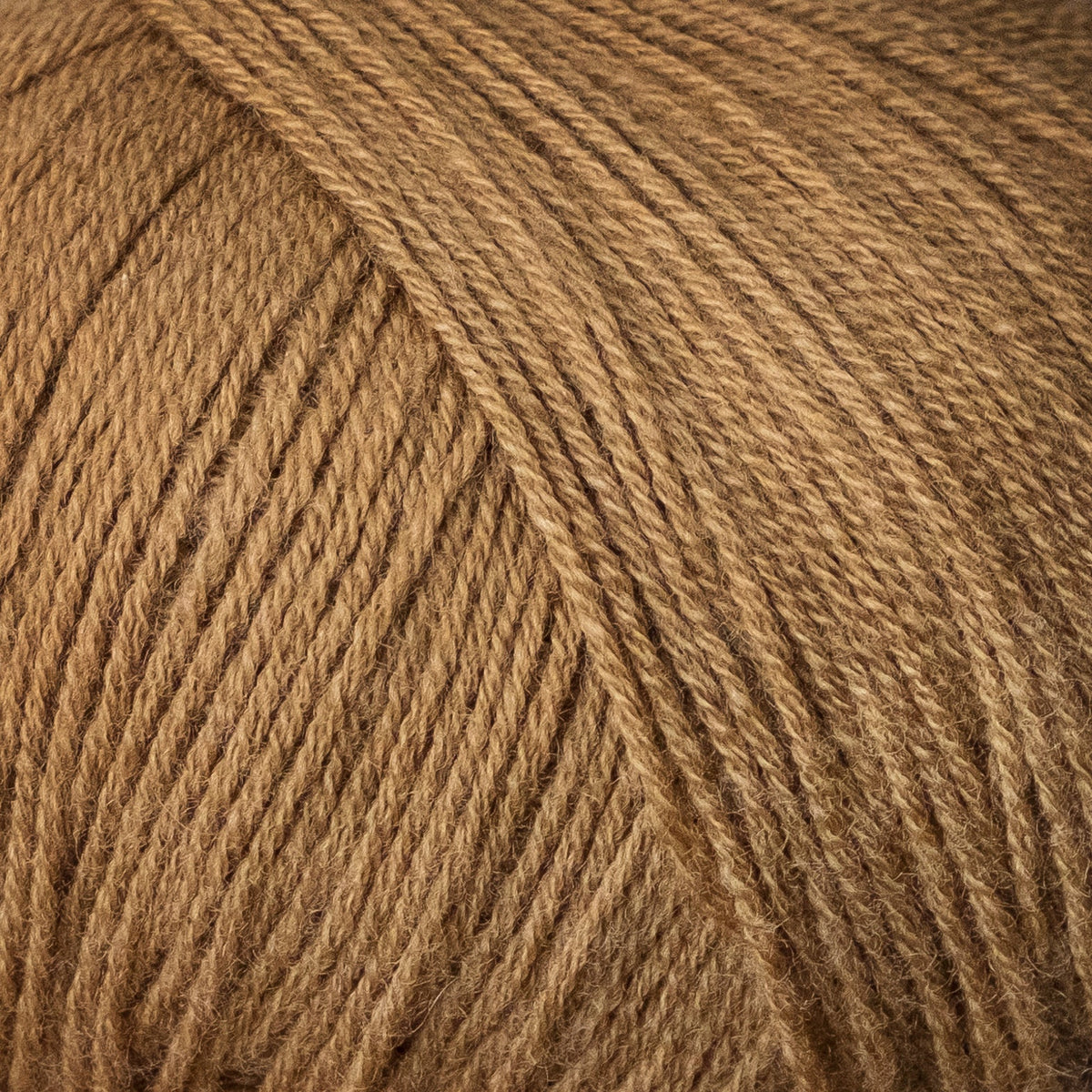 Camel / Kamel - Merino