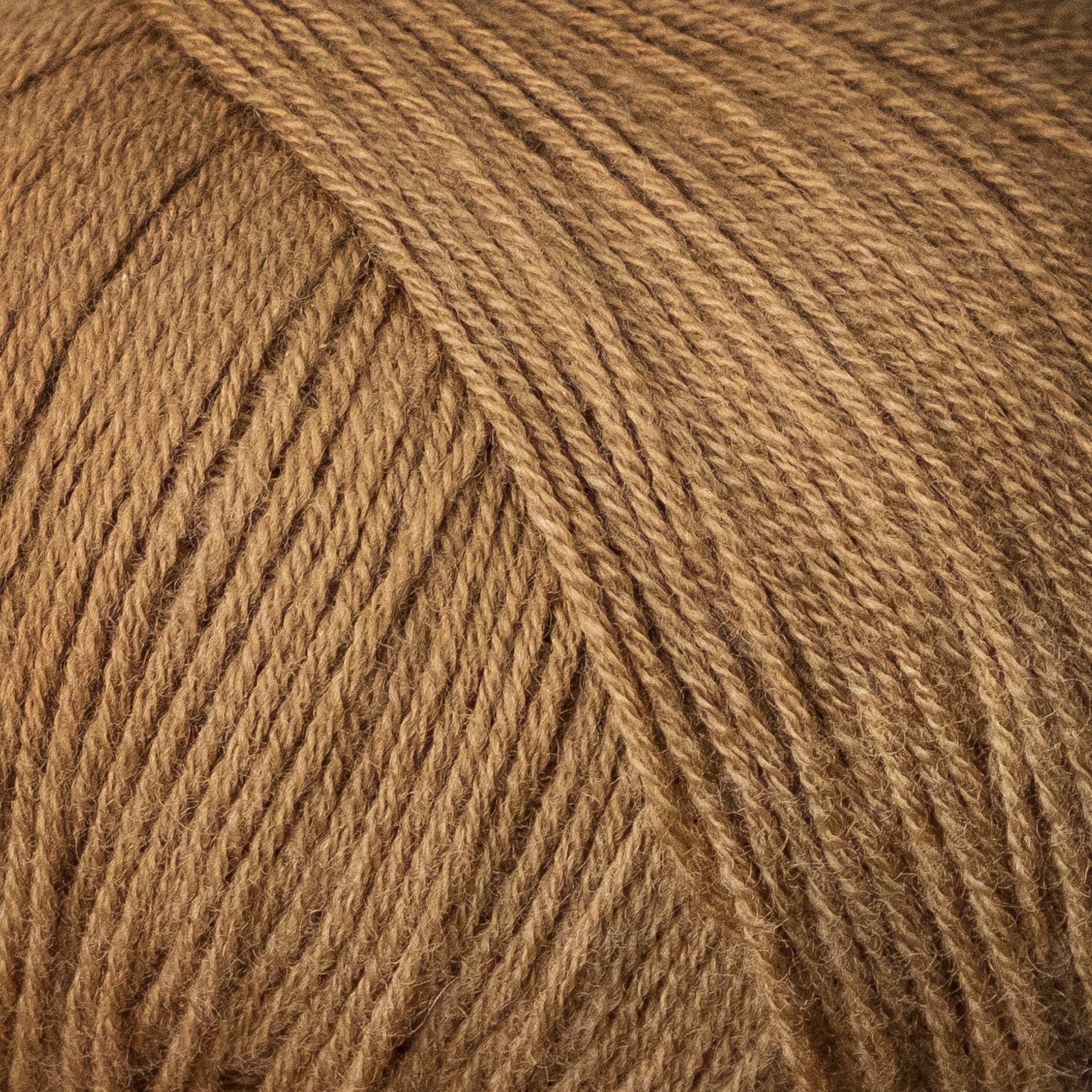 Camel / Kamel - Merino