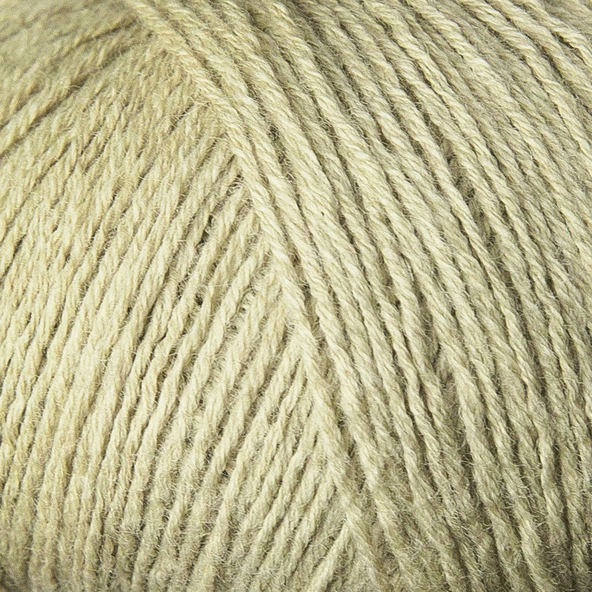 Fennel Seed / Fennikelfrö - Merino