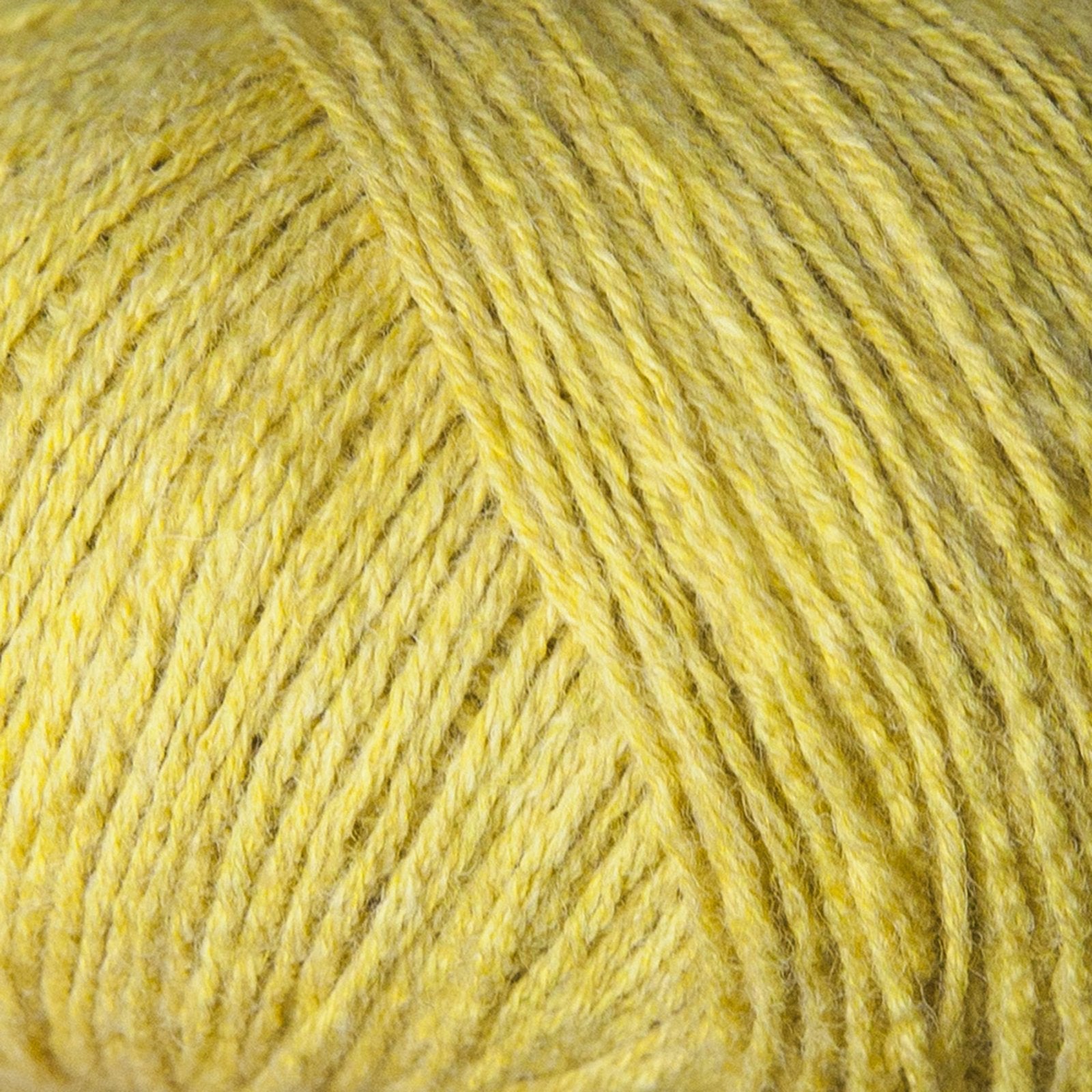 Quince / Kvaede - Merino