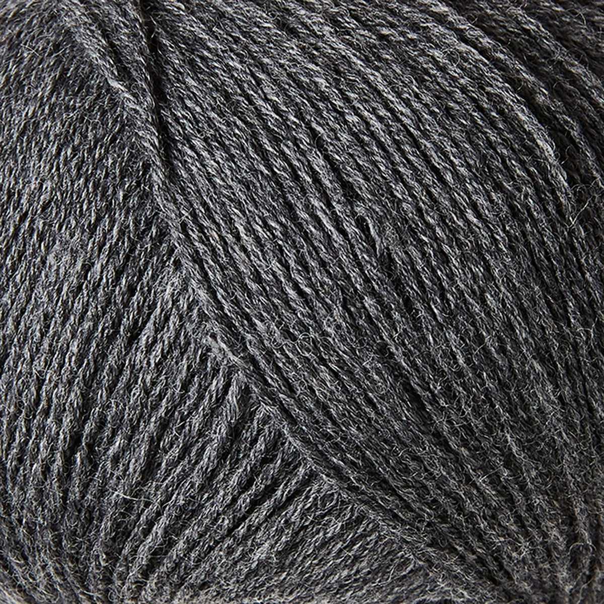 Racoon / Vaskebjorn - Merino