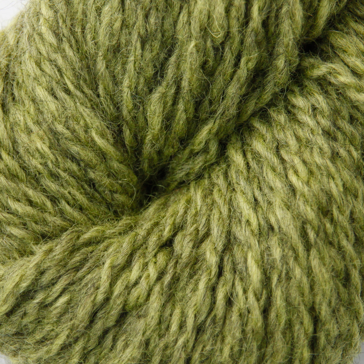 Blue - Olive Green - 2118