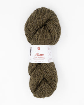 Blåne -   Olivbrun
