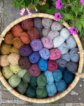 BRITISH BREEDS - Citrine