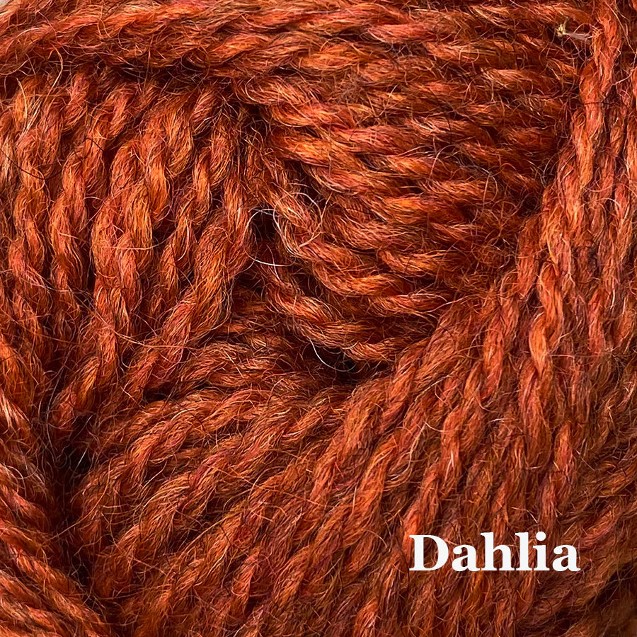 BRITISH BREEDS - Dahlia