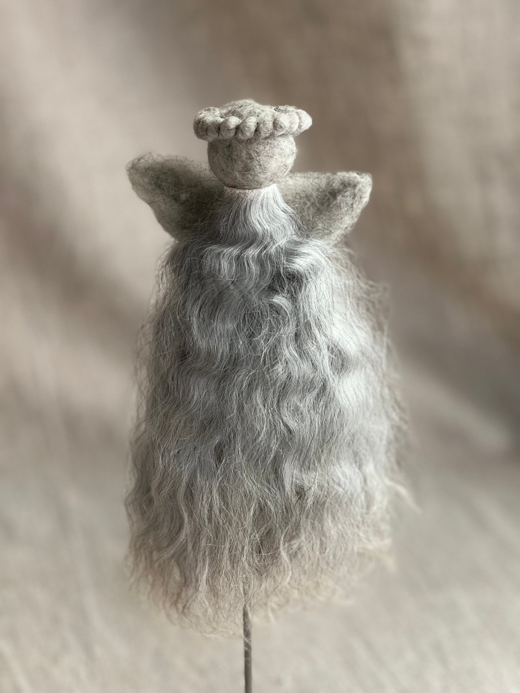 Bear - white