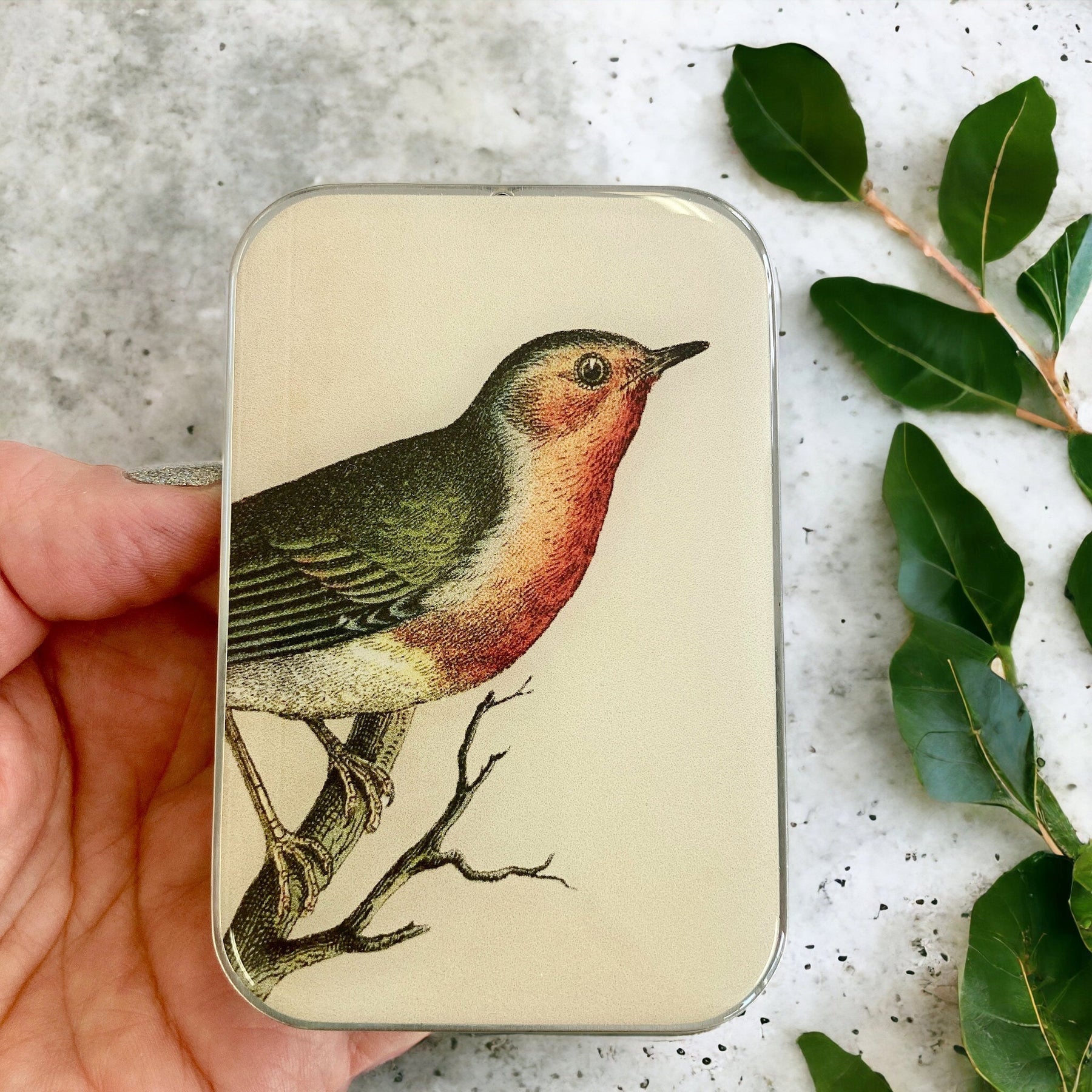 ROBIN NOTIONS TIN- Large Tin