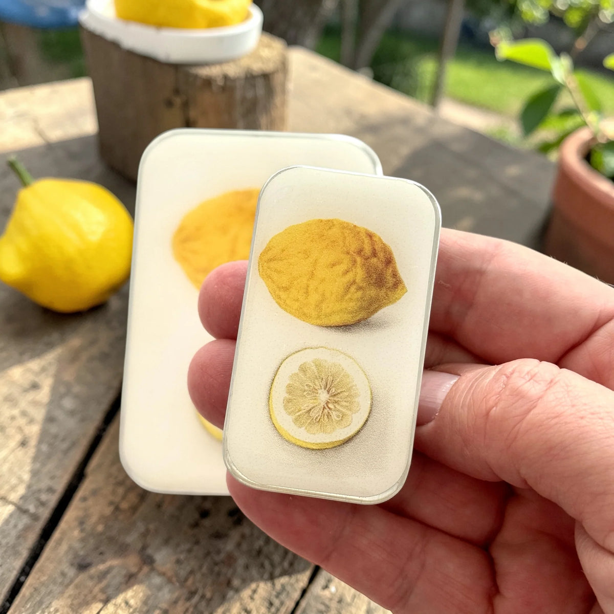 Botanical Lemon  NOTIONS Tin-  Lilla Asken