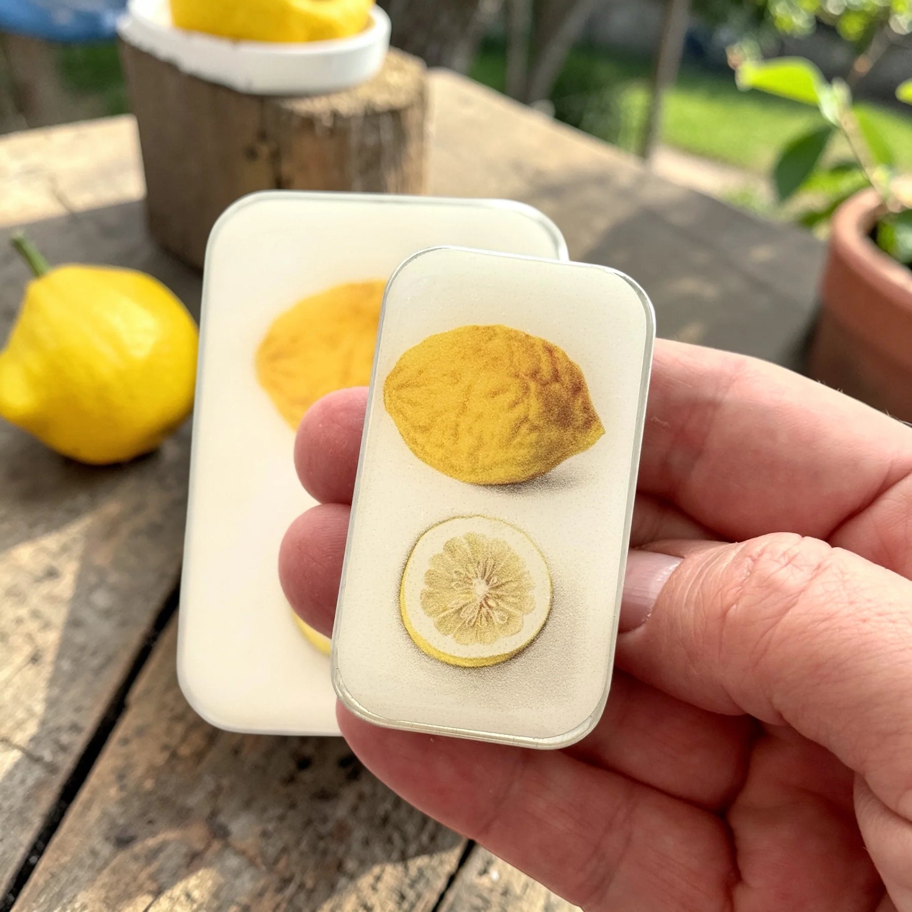 Botanical Lemon  NOTIONS Tin-  Lilla Asken