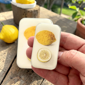 Botanical Lemon  NOTIONS Tin-  Lilla Asken