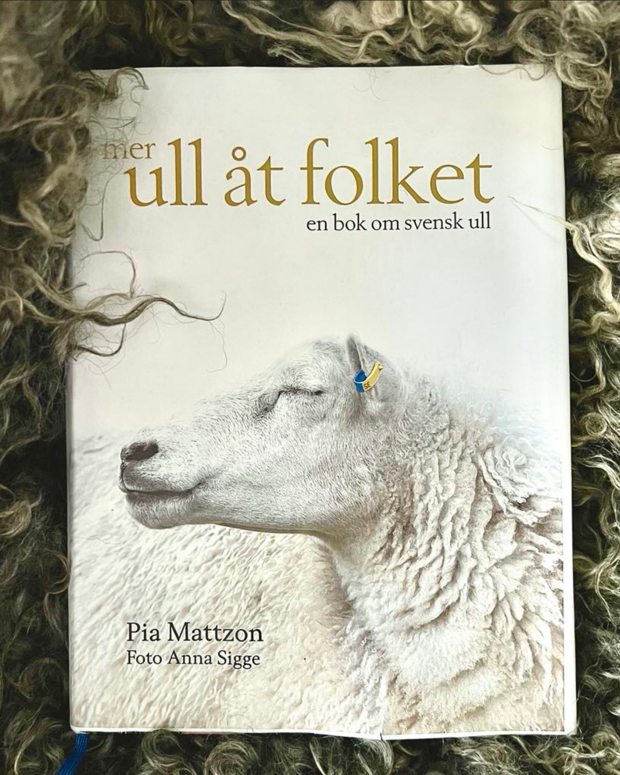 Cardigan and dress : Knit and sew your own clothes