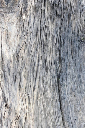 Driftwood - Palette / Trio 1 - Isager