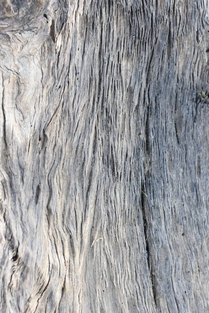 Driftwood - Palette / Trio 1 - Isager